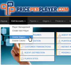 Review of the PricePerPlayer.com Sportsbook Pay Per Head Service