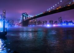 New York Sports Betting Revenue Drops