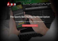 SportsBettingSolutionAsia.com Pay Per Head: A Recommendation